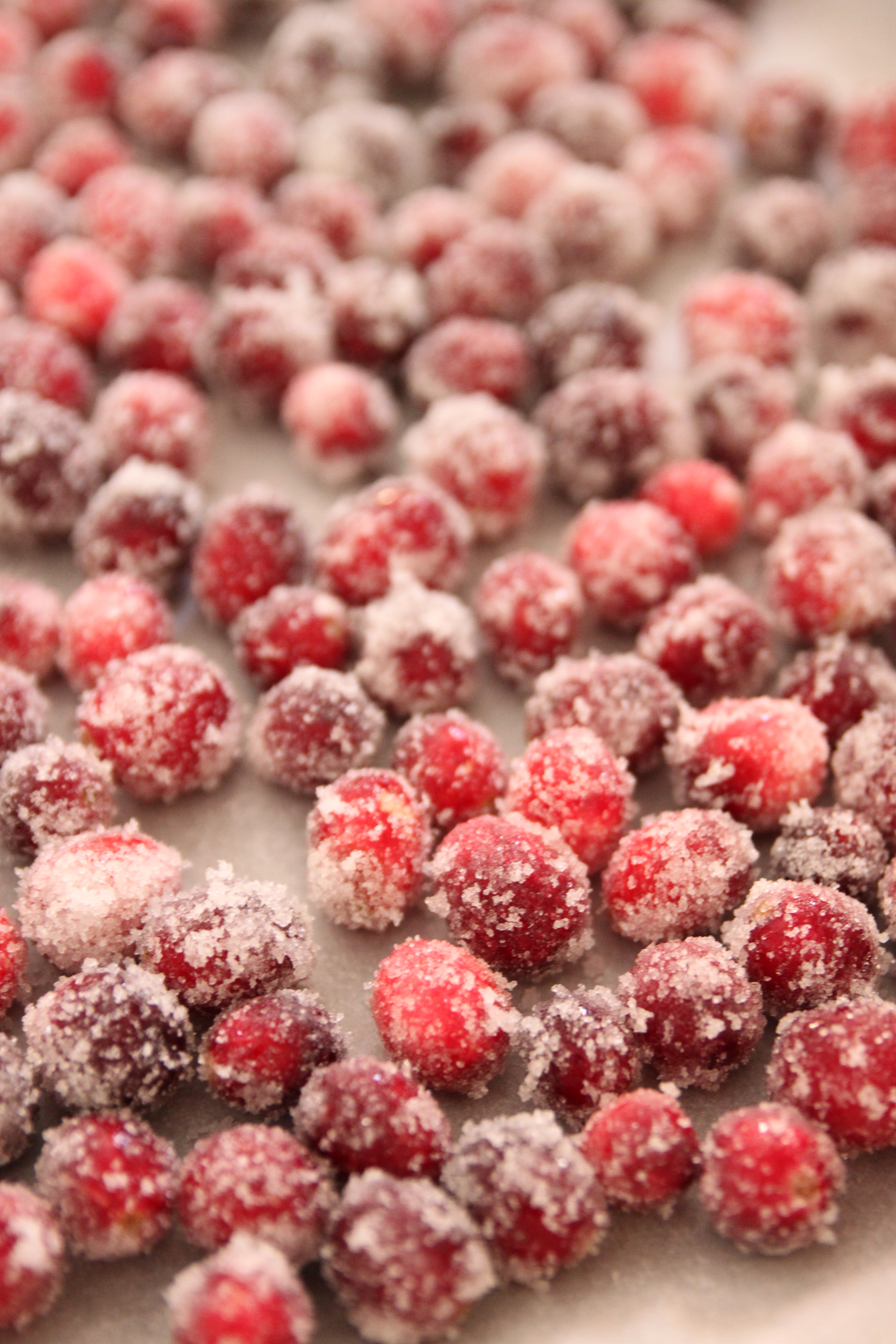 Sugared Cranberries – Bran Appetit