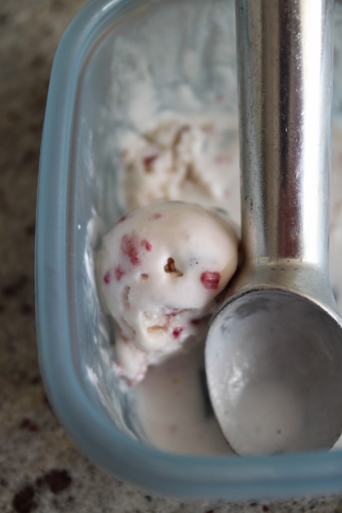 raspberry chocolate chip frozen yogurt