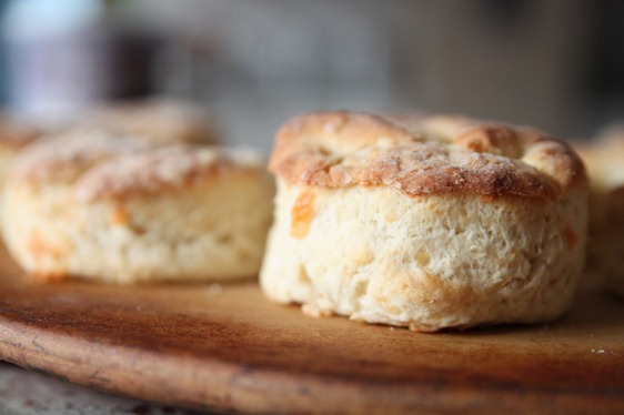 cheese_biscuits1-1024x682