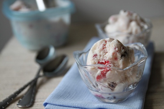 raspberry_chocolate_chip_frozen_yogurt
