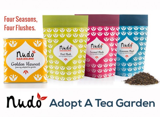 Nudo Adopt-a-Tea Giveaway